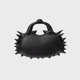 Neuroplasticity (2) Black
